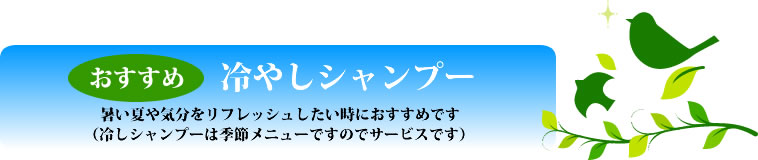 おすすめ 冷やしシャンプー