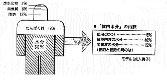 水の割合