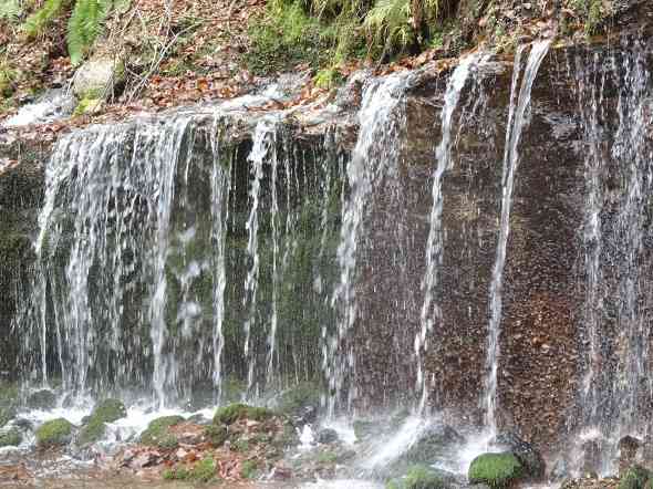yȆ