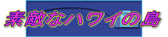 fGȃnC̓