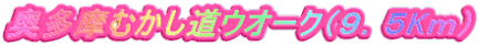 奥多摩むかし道ウオーク（９．５Kｍ）
