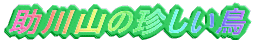 R̒ 