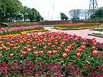 県民の森(茨城県植物園・きのこ博士館)