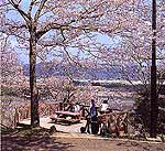 宇留野公園