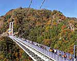 竜神大吊橋