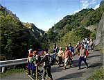 武生林道