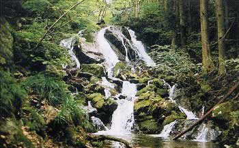 大滝