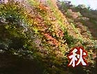 秋