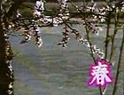 春