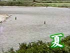 夏