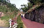陰陽山森林公園