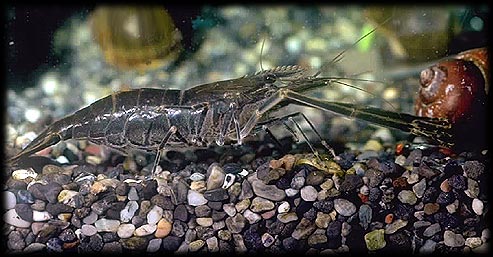 �e�i�K�G�r