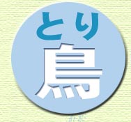 v쐅n̒