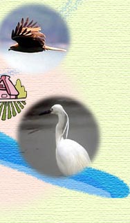 v쐅n̒