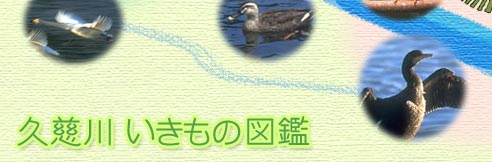 v쐅n̒