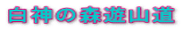 白神の森遊山道