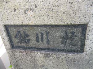 ̎ʐ^hwidth=