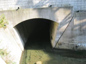 詓̎ʐ^hwidth=