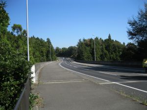 橋の写真”width=