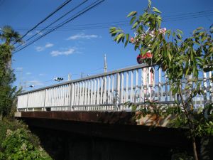 国道245号線の写真”width=