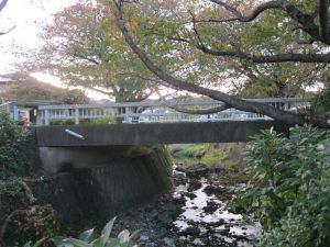 橋の写真”width=