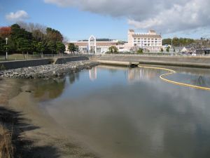 調整池の写真”width=