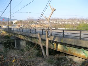 橋の写真”width=