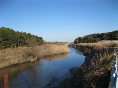 河口の写真