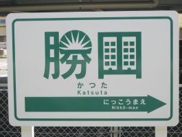 wW̎ʐ^