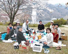 hanami-1s