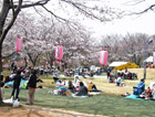hanami-2s