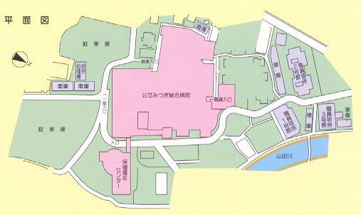 平面図