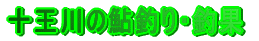�\����̈��ނ�E�މ�