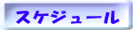 スケジュール