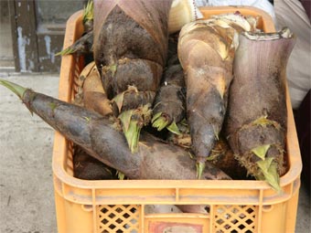 ⡂������ς�