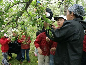 �����S��