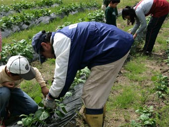 ���Ⴊ�����̉肩��