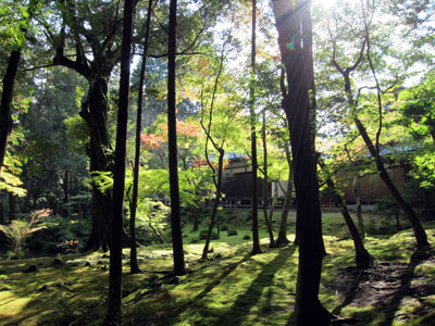 苔寺