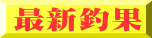 最新釣果 